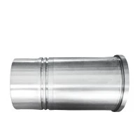 Dieselmotor BFM1013 Sylinderhylse P/N 04253772